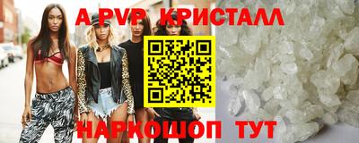 спиды Берёзовский