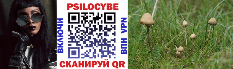 Галлюциногенные грибы Psilocybe  Городец 