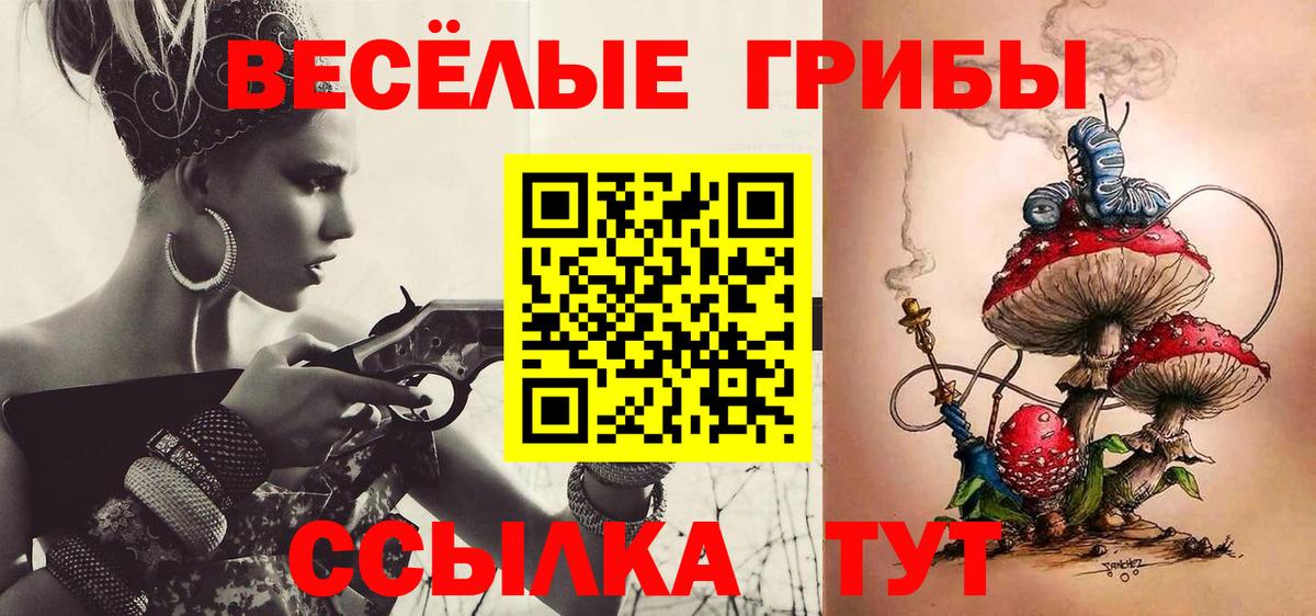 Галлюциногенные грибы прущие грибы  где купить наркоту  Городец  Вход с VPN  Галлюциногенные грибы Psilocybine cubensis 