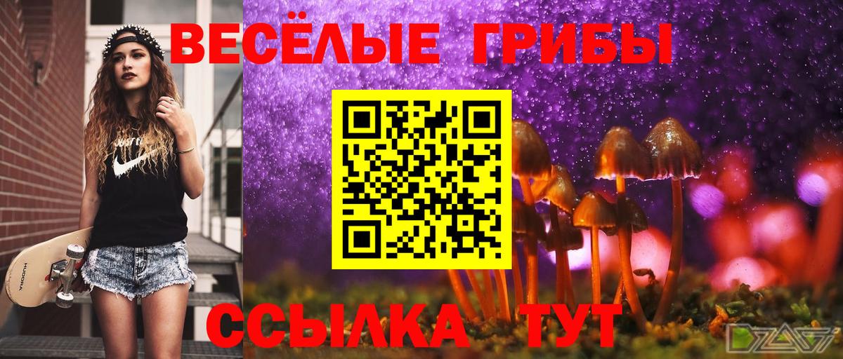 Псилоцибиновые грибы Psilocybine cubensis  Городец  Галлюциногенные грибы прущие грибы 