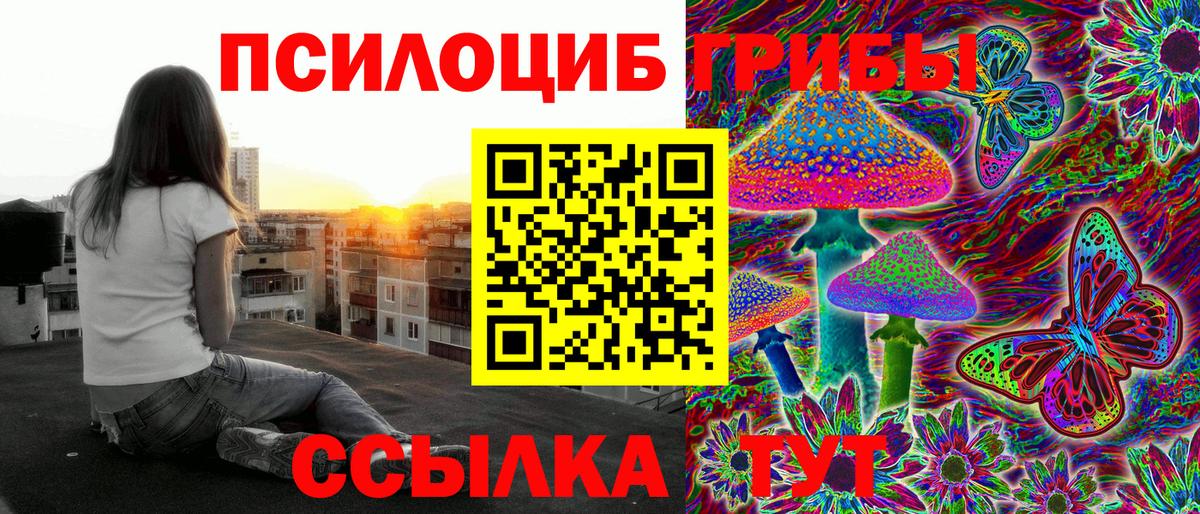 Псилоцибиновые грибы прущие грибы Городец