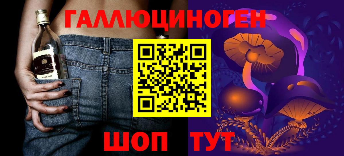 Галлюциногенные грибы Psilocybine cubensis Городец